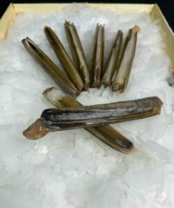 Couteaux, les 500 grs