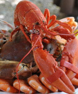 Plateau de fruits de mer