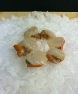 Noix de saint-jacques , fécamp, peche , bateau, port, achats, magasin