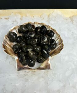 Bigorneaux vivants jumbo, les 200 grs