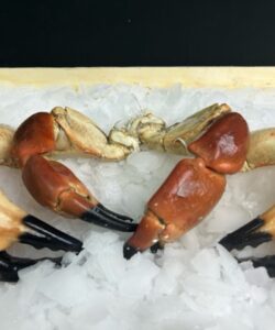 Pinces de tourteaux cuites moy, les 500 grs