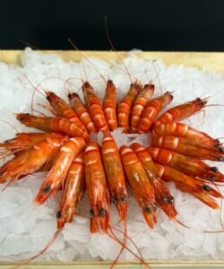 Crevettes roses fraîches cuites  Madagascar 60/80, les 500 grs