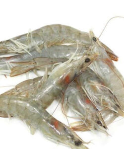 Crevettes crues 30/50, la caisse de 2 kg
