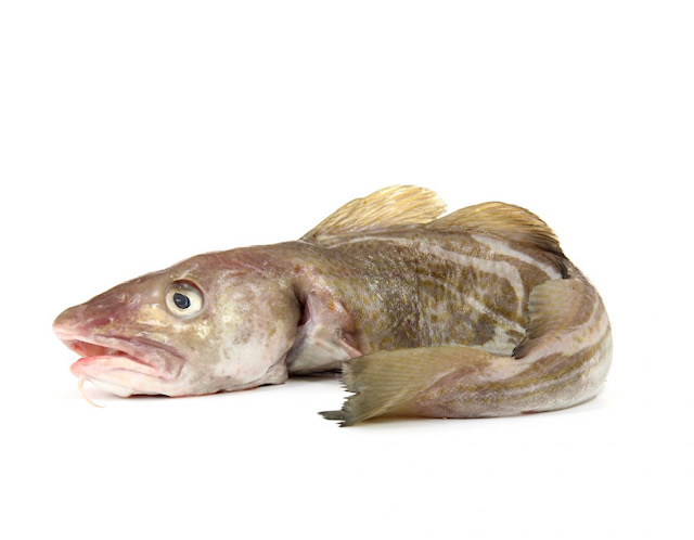 Cabillaud 1/2kg, la pièce de 1,5 kg env