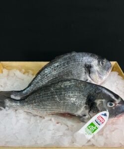 Dorade Oso Bio, la pièce de 400 grs