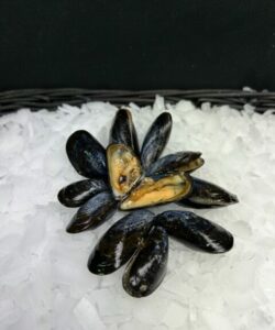 Moules , moules a fécamp, achats, coquillages, crustacés; fecamp