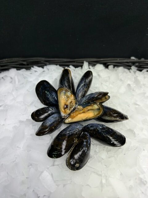 Moules , moules a fécamp, achats, coquillages, crustacés; fecamp