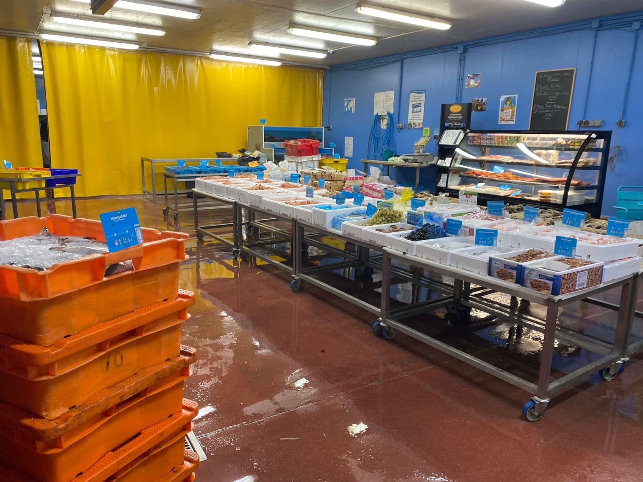 Grossiste en produits de la mer