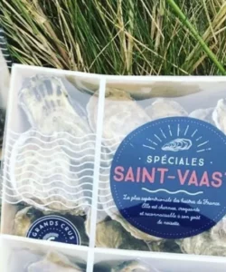 Huîtres de Saint-vaast, Saint-vaast la hougue, shopping, fecamp, port